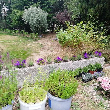 Robinhill Garden Hotel Forres Eksteriør billede